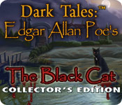 Dark Tales: Edgar Allan Poe's The Black Cat Collector's Edition 2